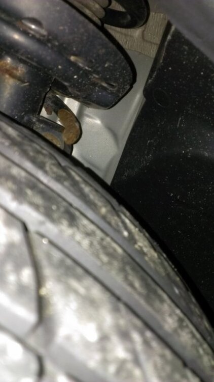 IMAG0421.thumb.jpg.3a29a7566e4ca6498af5d4c98420e02d.jpg