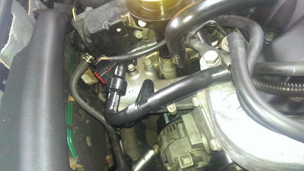 IMAG0974.thumb.jpg.d05b0e646f05fa435b21ec9d8ed0ac3a.jpg