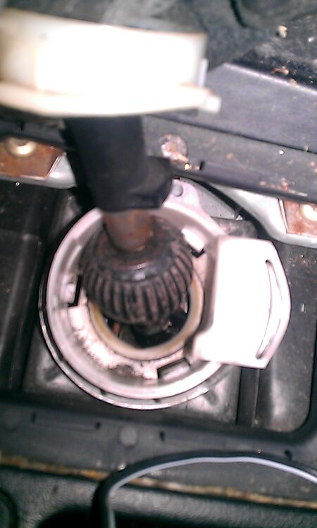 IMAG2197.thumb.jpg.5fdc98af0dae57f7ec43c42f2ec1a6a9.jpg