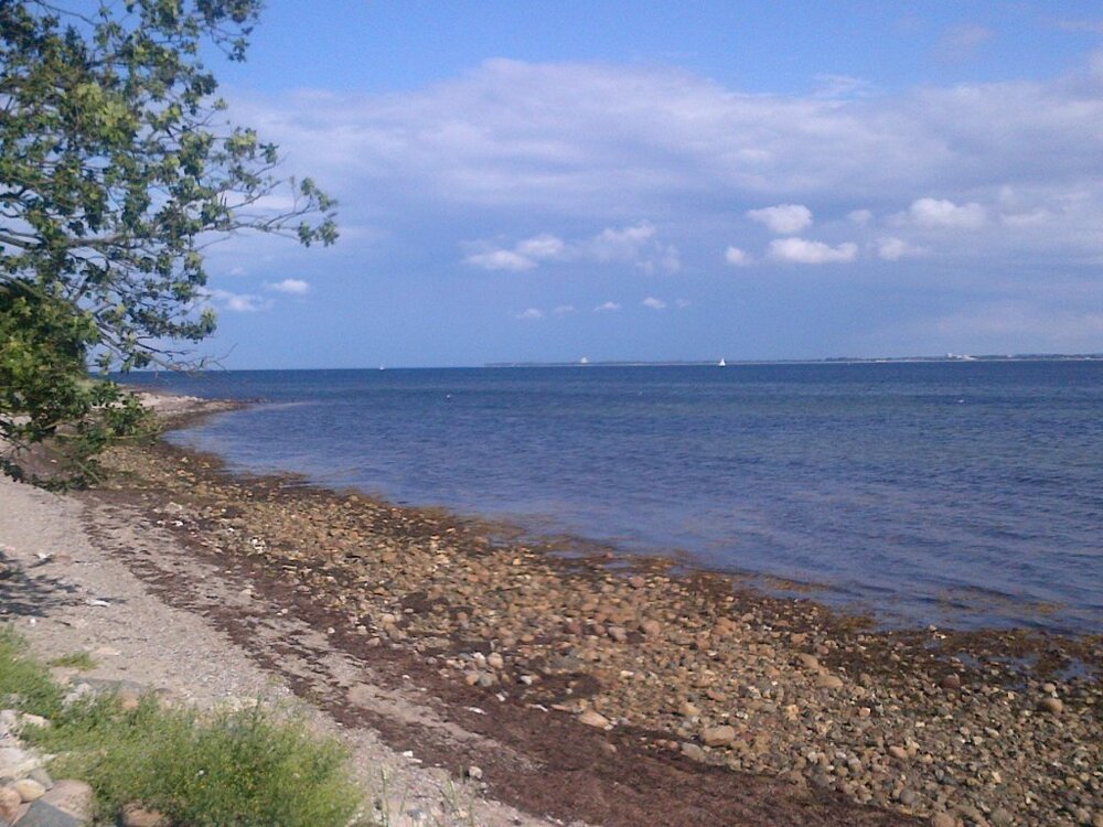 IMG-20120806-00015.thumb.jpg.2bc2aad1b004d5cbbaac08f41df2b6ce.jpg