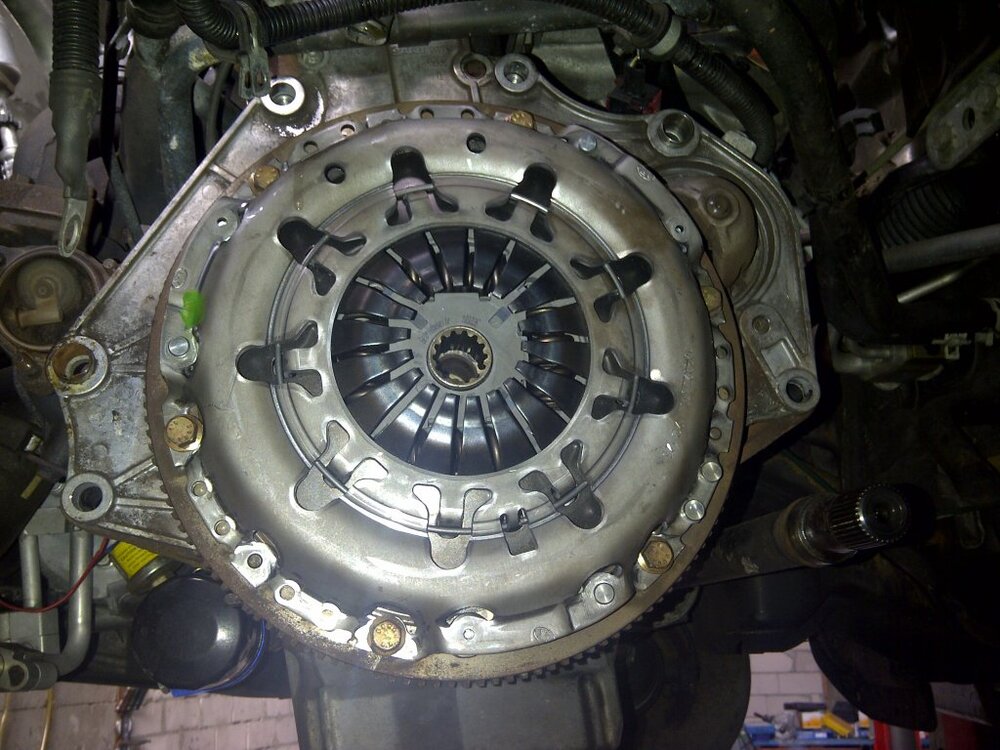 IMG-20130817-00738.thumb.jpg.792cfd667bb34ace6e33bc209793cf3b.jpg
