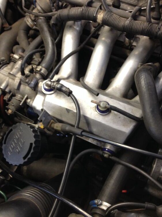 IMG-20140520-WA0002.thumb.jpg.da94209e7f4a5e0d05473476b98d1cae.jpg