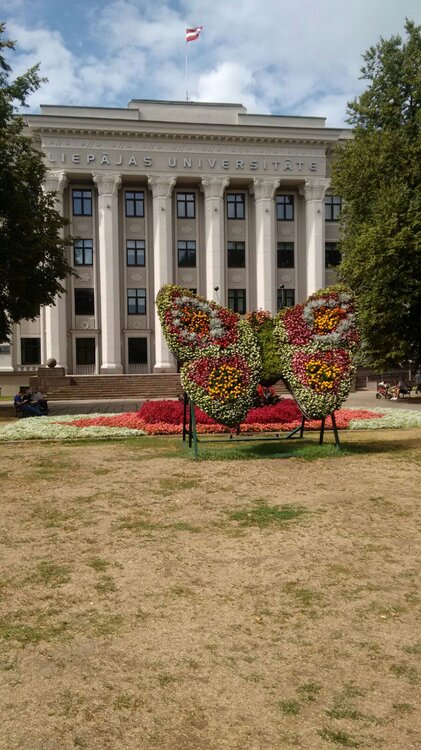 IMG-20180806-WA0008.thumb.jpg.0e0bf238f0c12580b7efb01a8beb2300.jpg