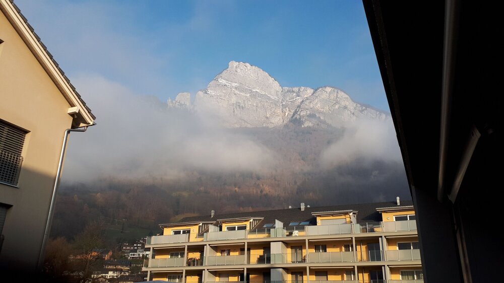 IMG-20191204-WA0003.thumb.jpeg.2dc4ff2133ff40cd6696d5e7b4c8d797.jpeg