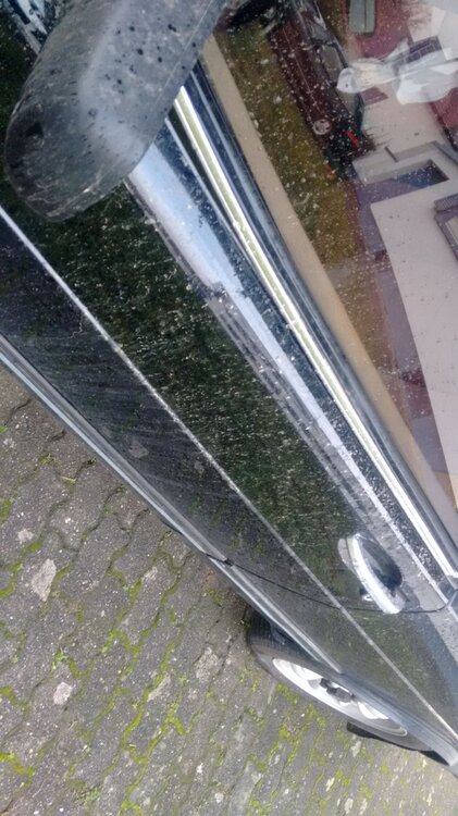 IMG-20210207-WA0004.thumb.jpeg.8beb0b70491115cfcc3e1372516496d6.jpeg