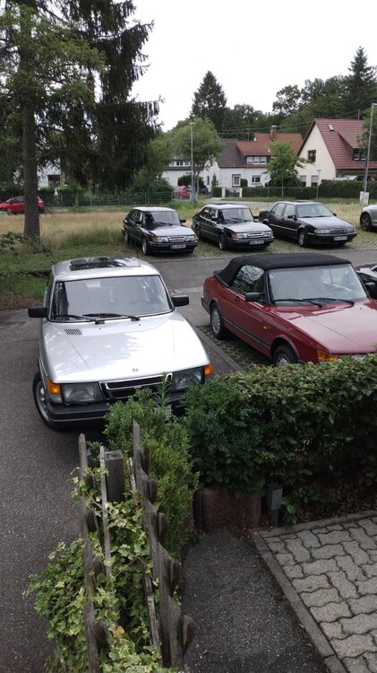 IMG-20210701-WA0003.thumb.jpeg.c069b7230028f9a9d8eb8f08cb650e4a.jpeg