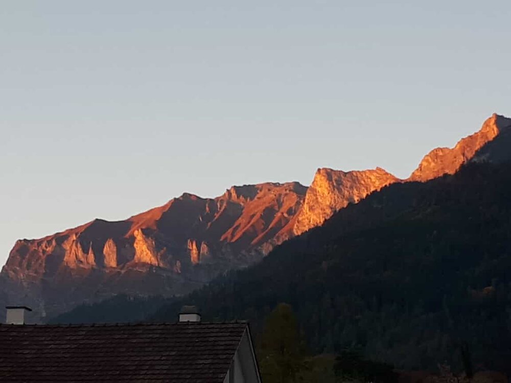 IMG-20211023-WA0011.thumb.jpg.f0e64fec9a72cedc3e9a281451eef998.jpg