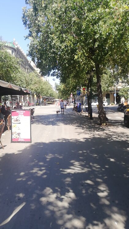 IMG-20220717-WA0002.thumb.jpeg.d679ad053c63e20535b07ac142fe87a8.jpeg