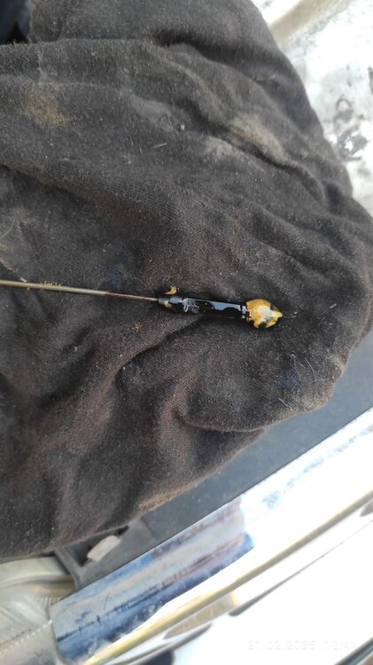 IMG-20250221-WA0000.thumb.jpg.ac8b404726a95ca607a2735d25f489ee.jpg