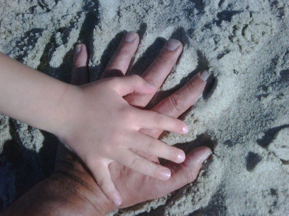 IMG00095-20110603-1653.thumb.jpg.227b3298b801011c4438b635850ec60f.jpg