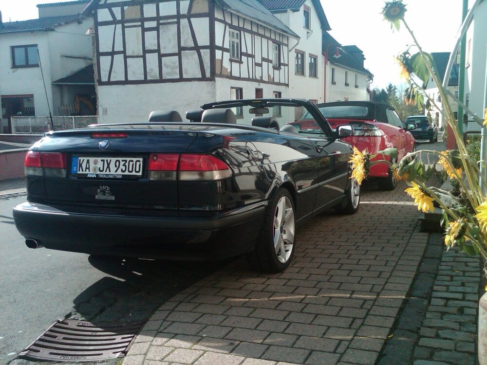 IMG00174-20101023-1324.thumb.jpg.fad65f417c443d670b0f7133bb301f4a.jpg
