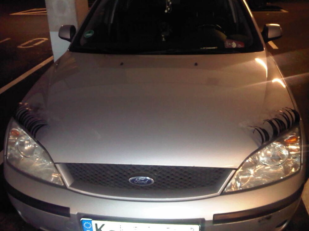 IMG00193-20130107-1159.thumb.jpg.589ad8cc6f8255109f6e10173a457cab.jpg