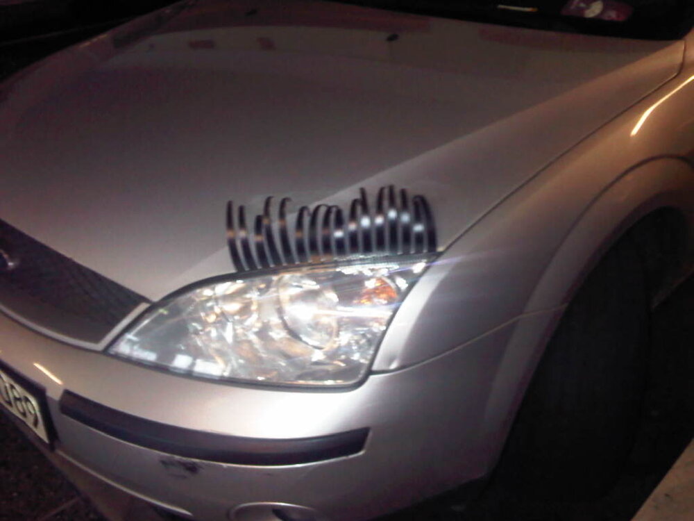 IMG00194-20130107-1200.thumb.jpg.101310a49de46fdac53a2ffb7469ef52.jpg