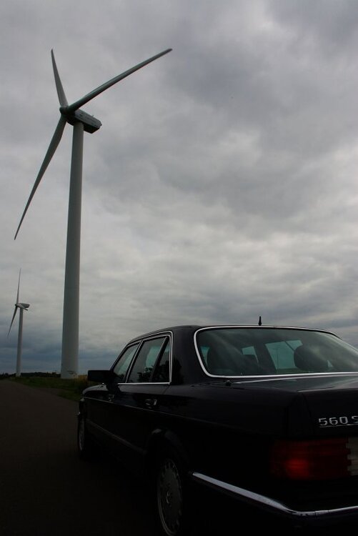 IMGP1785.thumb.jpg.67e4becbf89ec9d4fe3634b18f7b6636.jpg