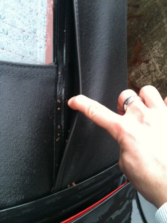 IMG_0031.thumb.jpg.393fe5b85a3a0bd66b189e126af06cdf.jpg