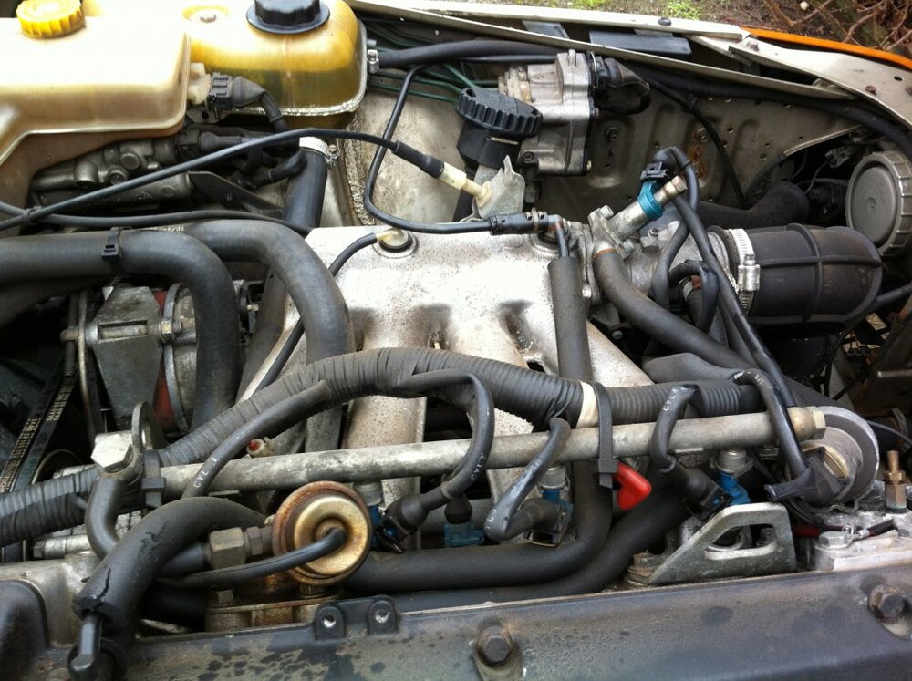 IMG_0119.thumb.jpg.180bb1d1c97ccff1bf302ca0eb98bb20.jpg