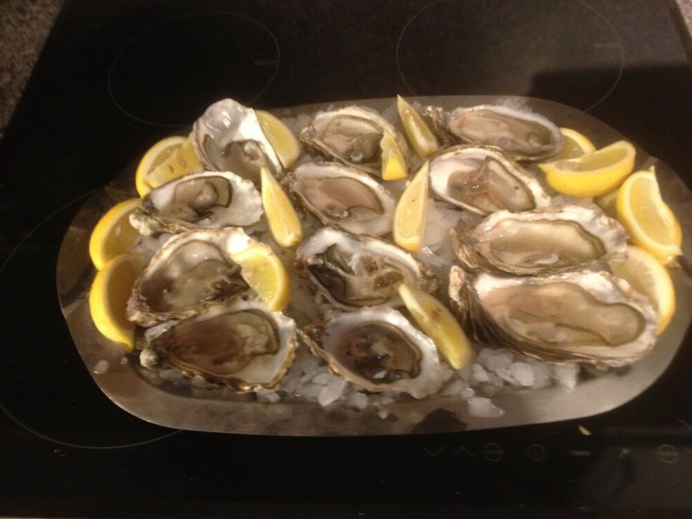 IMG_0258.thumb.jpg.4eecf27c664a57045ce4953af55ff6fd.jpg