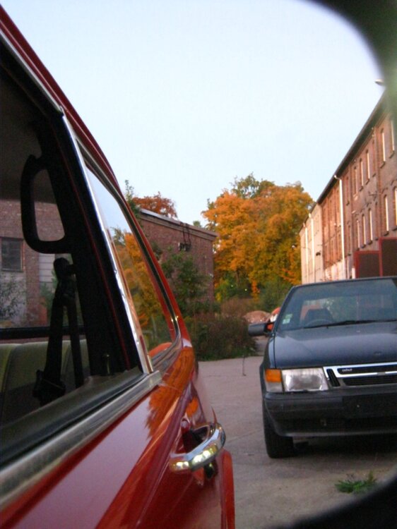IMG_0896.1.thumb.jpg.c5166f78a1557cebf12366fdbf8465b8.jpg