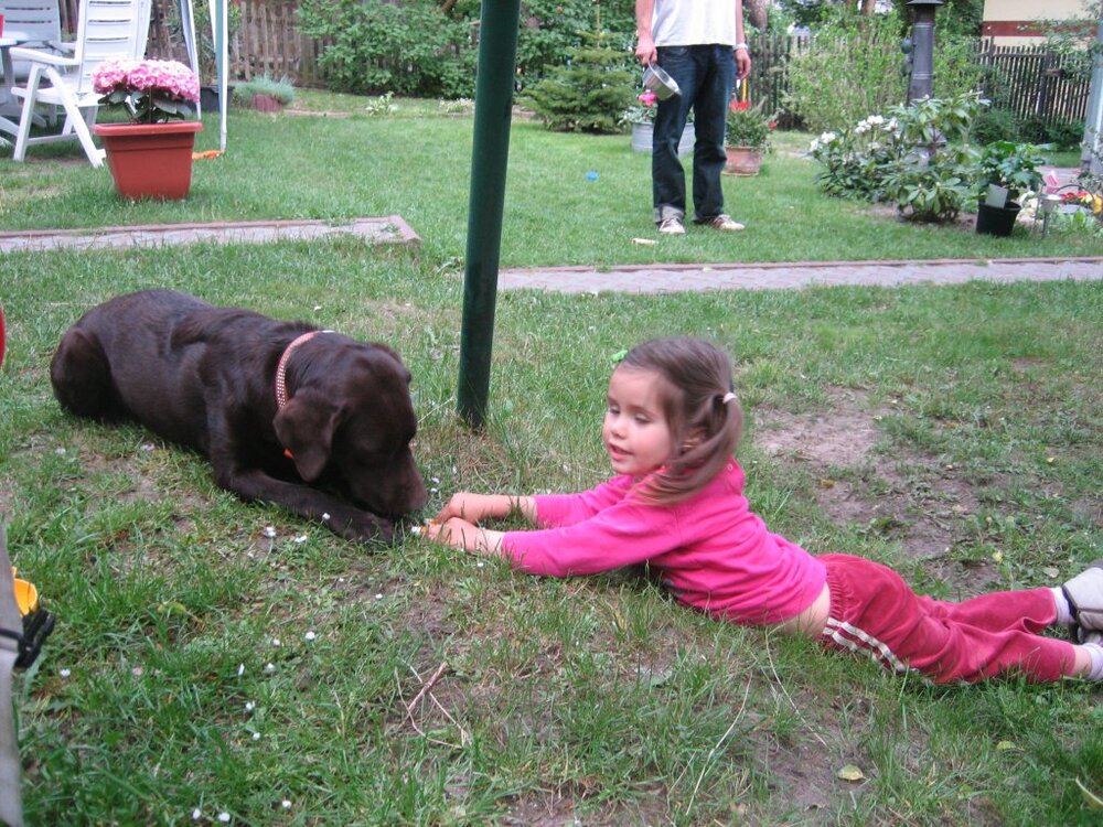 IMG_0959.thumb.jpg.c4a06b5e67ce7add0b8bb6f08c33c29a.jpg