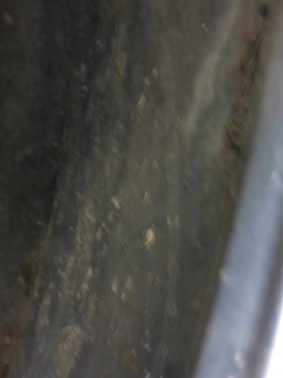 IMG_0995.thumb.JPG.098749ed23d3ab60c22e8dbeb170ea26.JPG