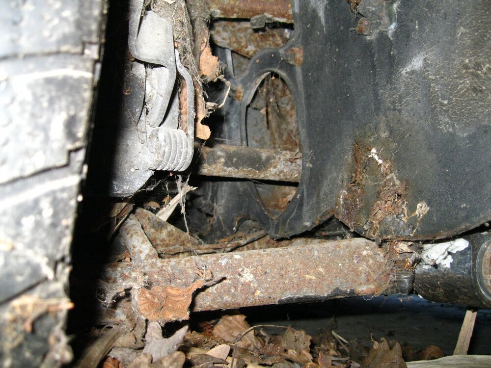 IMG_1290.thumb.JPG.bceafcc33db8c1dd2fd0b0475c3f5376.JPG