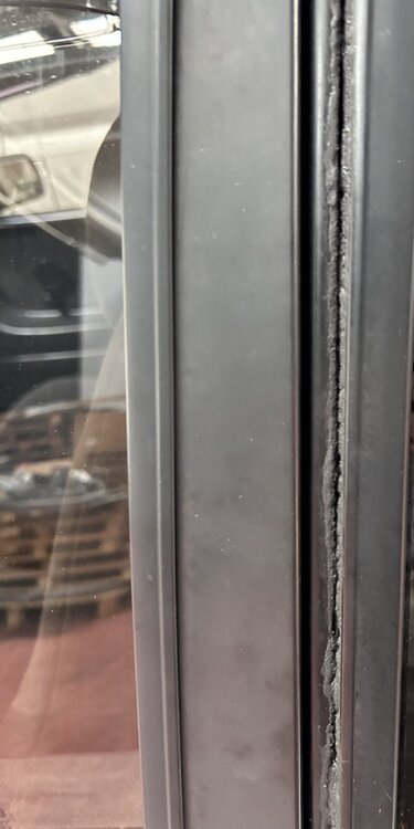 IMG_1425.thumb.jpeg.c20fdd71764712d85370469c1e950484.jpeg