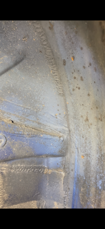 IMG_1445.thumb.png.5c210ac1aca7ec68bfc54aa4415ffb36.png