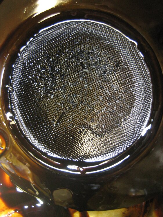 IMG_1660.thumb.JPG.1bdc34d0871d1a6e80a77d5a81f66b5b.JPG