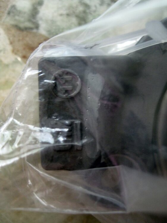 IMG_1763.thumb.jpg.d327c258ba6bcda7e8e44a961ceb7fe0.jpg