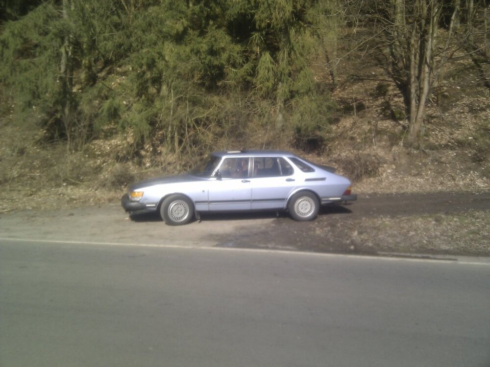 IMG_20130305_140753.thumb.jpg.95afb92388c97bcbd05792a59fe80fc7.jpg