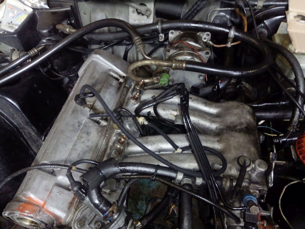 IMG_20160428_132644.thumb.jpg.8b259dd8547fd1dbadb23039d5095bcc.jpg