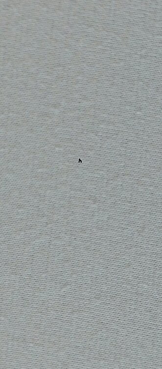 IMG_20190629_083316.thumb.jpg.1e3840092f0d2060e4a4bf5b23509bb6.jpg