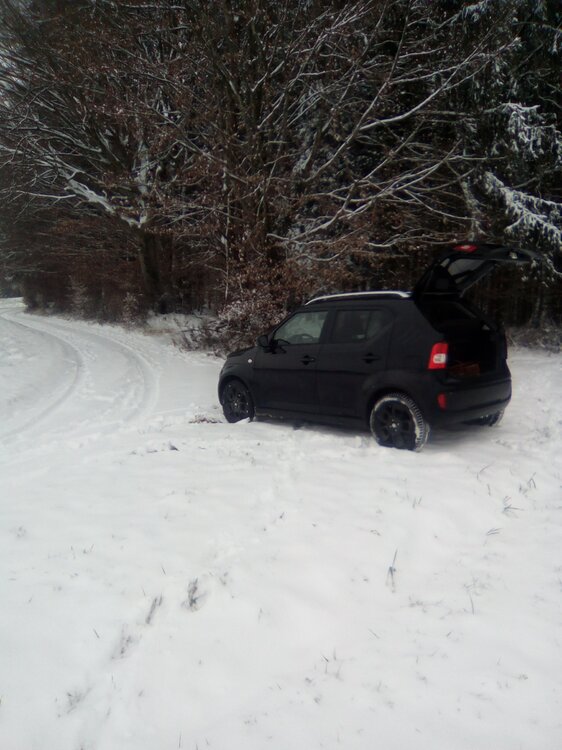 IMG_20210106_132833(1).thumb.jpg.cd1557f3cad150780fb6a1e8b9b9a9c5.jpg