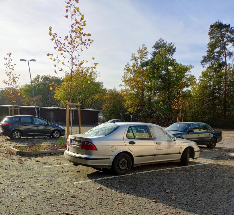 IMG_20221030_151003593_HDR3.thumb.jpg.c3fef5eddee4c99d9856307faec9b55f.jpg