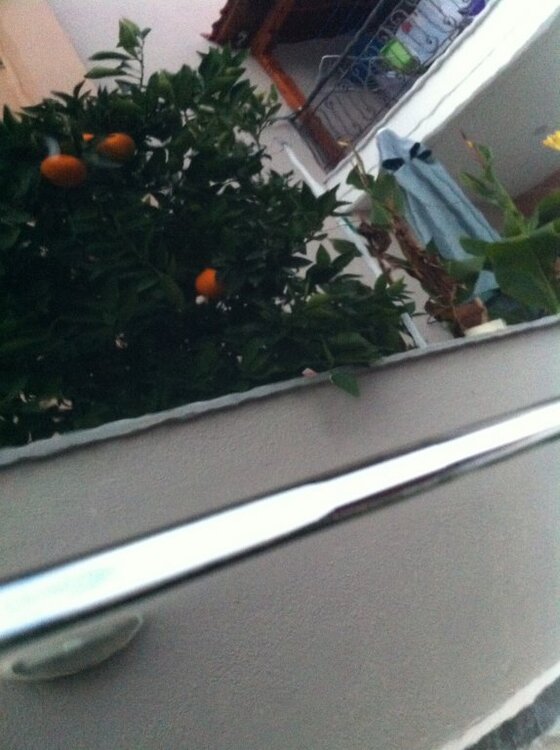 IMG_2296.thumb.jpg.05d1cc31fcf70ce3db2cf9f10767eaaa.jpg