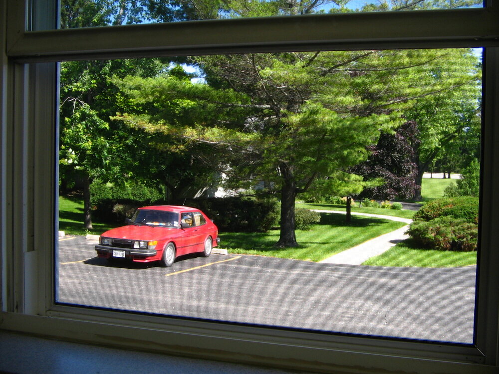 IMG_3866.thumb.JPG.eaf1a7087ee534ac21fd4566f31aff2e.JPG