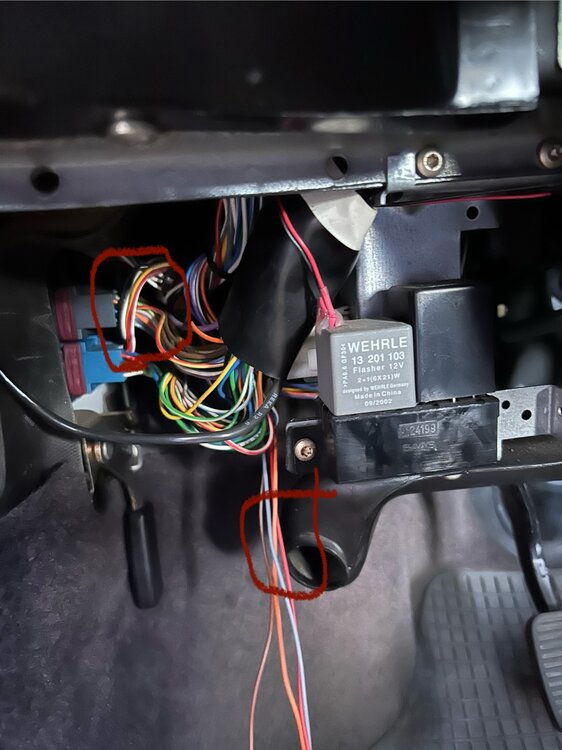IMG_3961.thumb.jpeg.ca4cae3c4d18b68bc8fc147b2539f3f1.jpeg