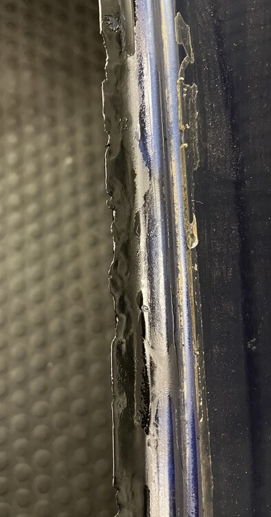 IMG_4460.thumb.jpeg.d646e541793f7baa1d135b66b8498d0c.jpeg