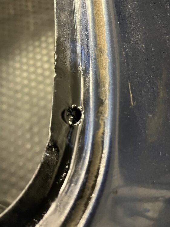 IMG_4464.thumb.jpeg.d466cf5795f039d403301edae6d683f4.jpeg
