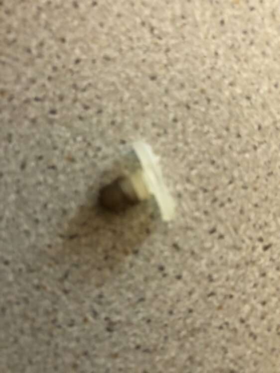IMG_5441.thumb.jpeg.39ad1a5ccea5619abfb9b0e5676f0d44.jpeg