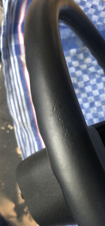 IMG_6166.thumb.jpeg.dd881f2c3658aa522a3ce31c631312ca.jpeg
