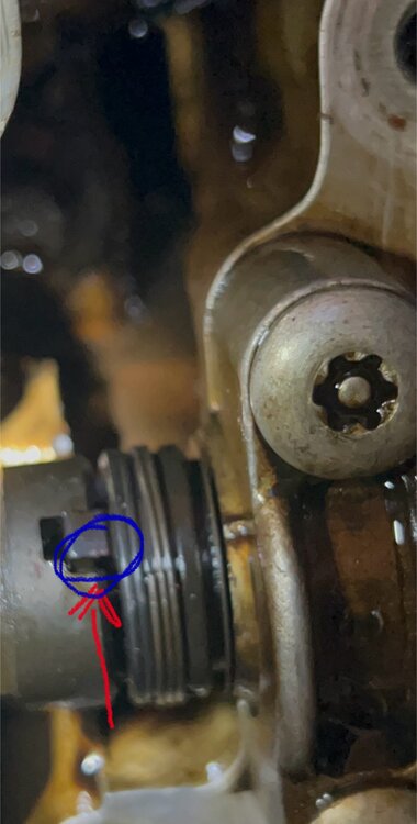 IMG_9363.thumb.jpeg.0ff2cb2bfe50910a1ca7c2a45fed5e5e.jpeg