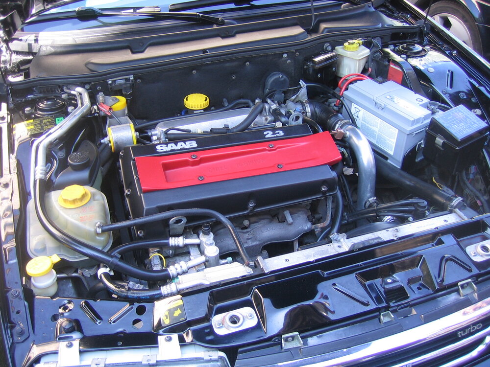 IMG_9484.thumb.JPG.3d1fc827bf6d322ab2c4486e52376aea.JPG