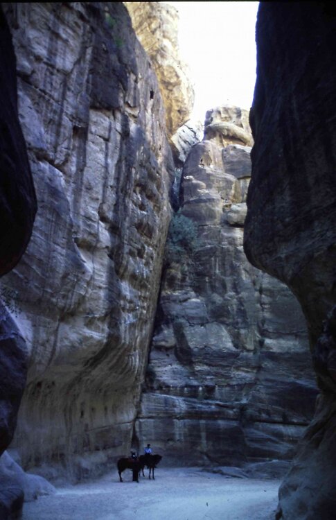 JOR_Petra_51.thumb.jpg.c5c58ce02b9ee5b5831dc82a7e6d65e8.jpg