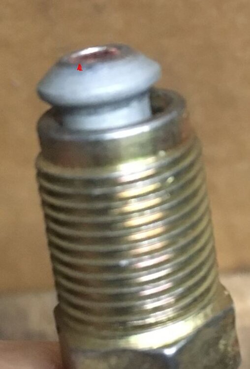 Kegel2.thumb.JPG.375ec6eb5623b516e548908328a57483.JPG