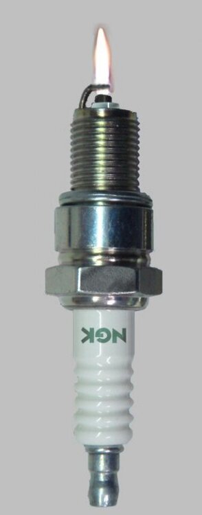 Kerze-Spezial1.thumb.jpg.435dd2e0c08bfa9356676c31ba40cb34.jpg