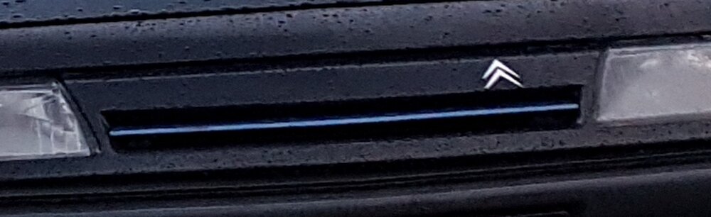 Khlerchromspangeinhellblau.thumb.jpg.318ba079308ff92a1a1566cef80fd99d.jpg