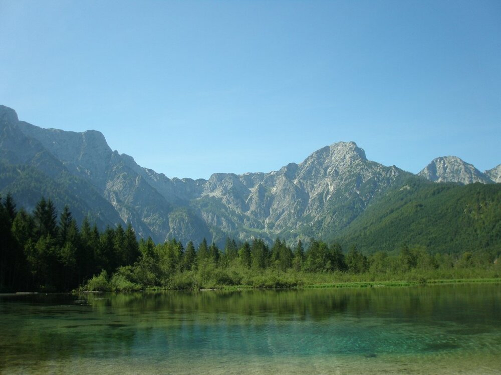 Kitschig.thumb.jpg.836e70e055373ad943062d66033a2fdb.jpg