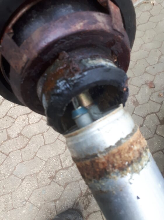 Kraftstoffpumpealt.thumb.jpg.ba7f6e800ce91d8d99c50d04584b301a.jpg