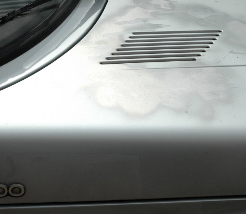 Lack_Motorhaube_2.thumb.jpg.883ec2afaa11fc480b018f9db8bf3f5a.jpg